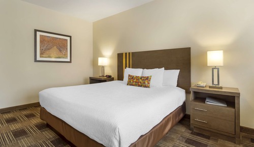 Standard Room, 1 King Bed, Non Smoking, Refrigerator & Microwave