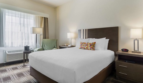 Standard Room, 1 Queen Bed, Accessible, Refrigerator & Microwave (Refrigerator & Microwave)