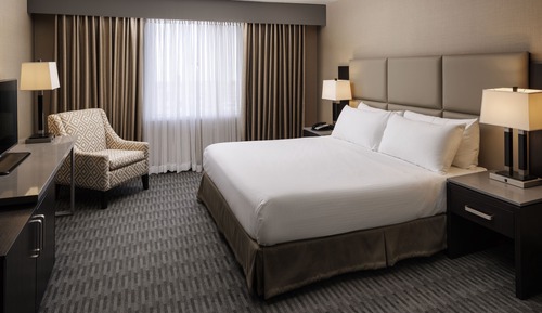 Premium Room, 1 King Bed, Executive Level