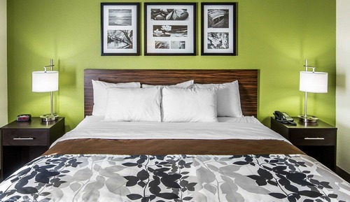 Standard Room, 1 King Bed, Non Smoking