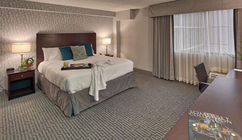 Executive Room, 1 King Bed with Sofa bed
