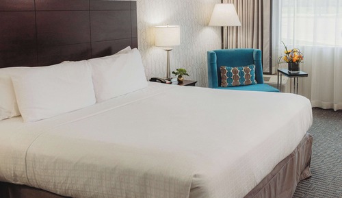 Executive Room, 1 King Bed