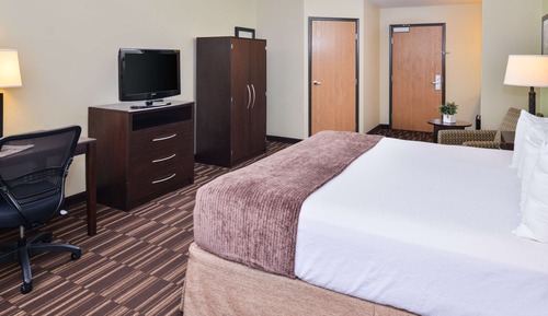Standard Room, 1 King Bed, Non Smoking, Refrigerator & Microwave (Larger Room)