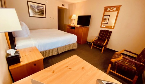Standard Room, 1 King Bed, Non Smoking (Pet Friendly)