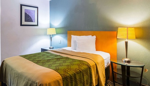 Room, 1 Double Bed, Non Smoking