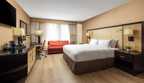 Standard Room, 1 King Bed with Sofa bed, Accessible (King Bed w/ Accessible Tub)