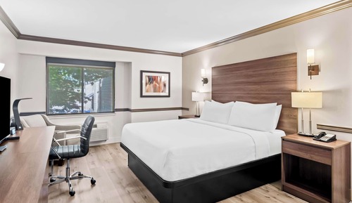 Standard Room, 1 King Bed, Accessible, Refrigerator & Microwave
