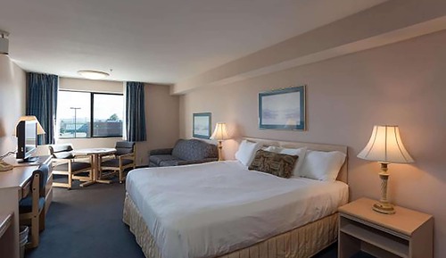Suite, 1 King Bed