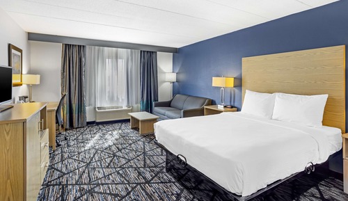 Standard Room, 1 King Bed, Non Smoking, Refrigerator & Microwave