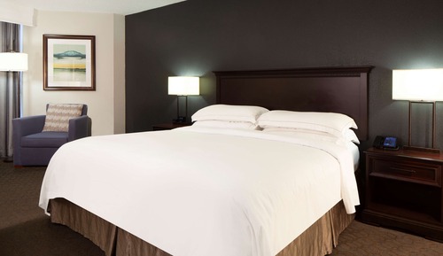 Room, 1 King Bed, Accessible, Bathtub (Mobility & Hearing)