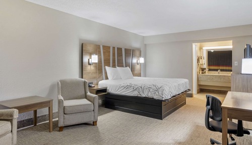 Standard Room, 1 King Bed, Non Smoking, Poolside