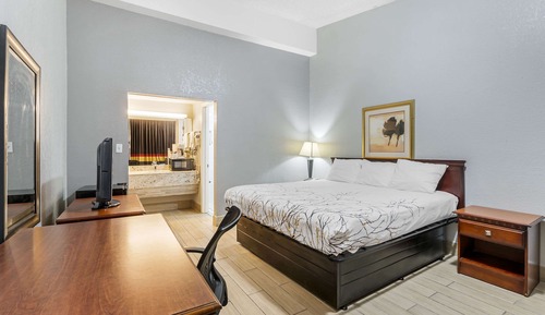 Standard Room, 1 King Bed, Non Smoking