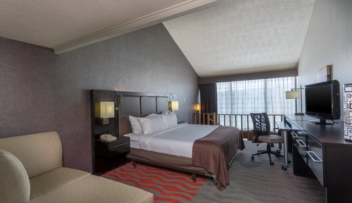 Suite, 1 Bedroom
