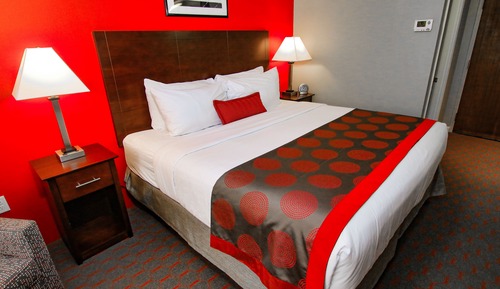 Room, 1 King Bed, Non Smoking