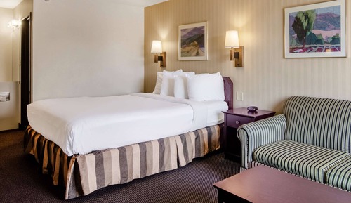 Room, 1 Queen Bed, Non Smoking
