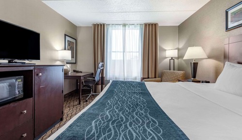Standard Room, 1 King Bed, Non Smoking