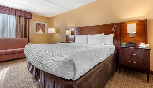Standard Room, 1 King Bed, Non Smoking