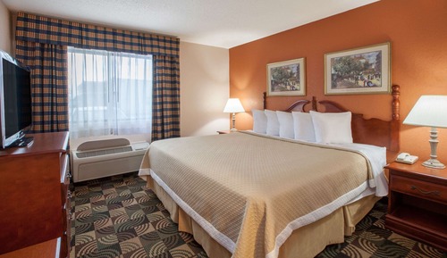 Standard Room, 1 King Bed