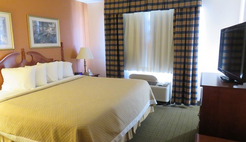Suite, 1 Bedroom