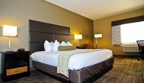 Standard Room, 1 King Bed, Non Smoking, Refrigerator & Microwave