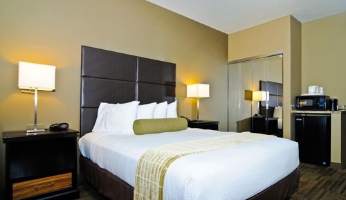 Standard Room, 1 Queen Bed, Accessible, Non Smoking (Walk-in Shower)