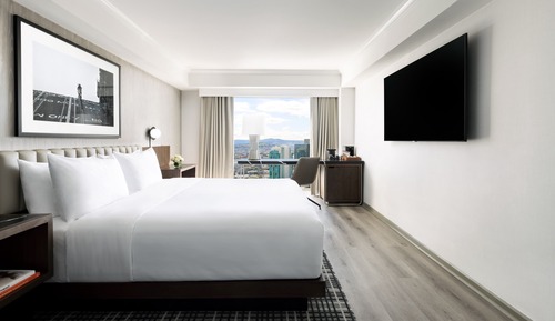 Room, 1 King Bed (with Shower)