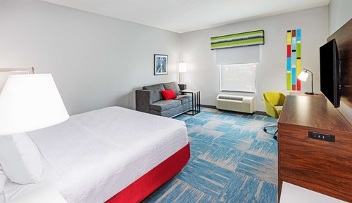 Room, 1 King Bed, Accessible, Non Smoking