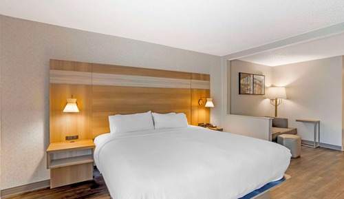 Suite, 1 King Bed, Non Smoking, Kitchenette (with Sofabed)