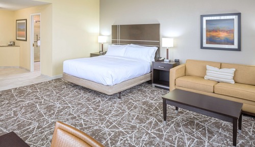 Room, 1 King Bed with Sofa bed