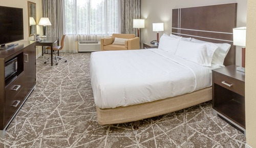 Room, 1 King Bed, Accessible