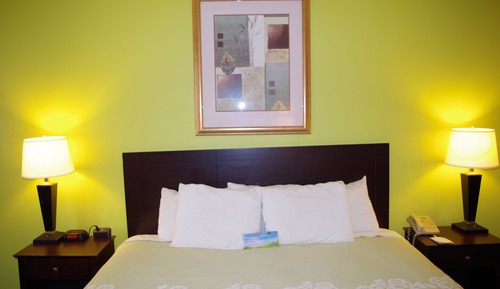 Business Room, 1 King Bed
