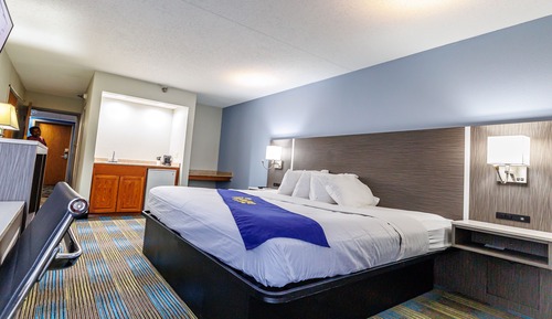 Standard Room, 1 King Bed, Accessible Bathtub