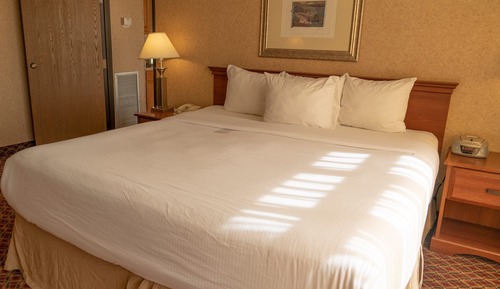 Room, 1 King Bed, Non Smoking, Refrigerator & Microwave