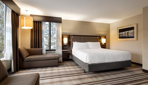 Junior Suite, 1 King Bed