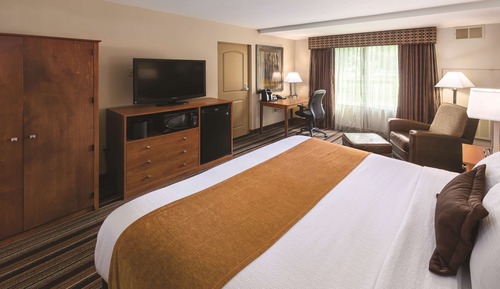 Room, 1 King Bed, Accessible, Non Smoking (Hearing, Roll-in Shower)