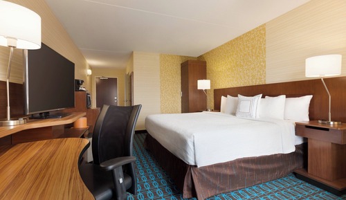 Room, 1 King Bed with Sofa bed