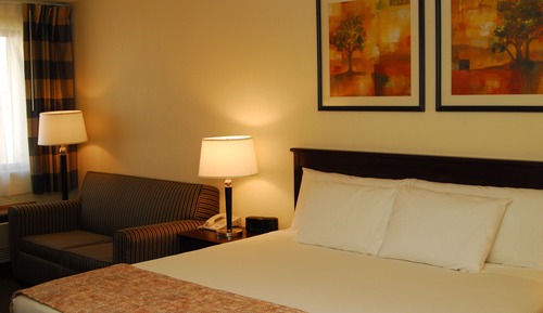 Standard Room, 1 King Bed, Non Smoking