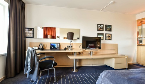 Room, 1 King Bed
