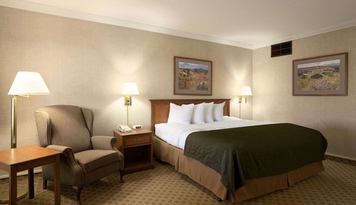 Room, 1 King Bed, Non Smoking (Pet-Friendly)