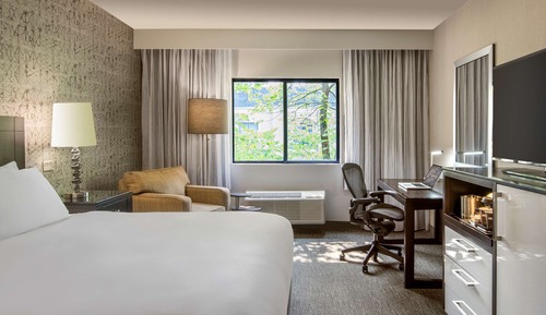 Standard Room, 1 King Bed