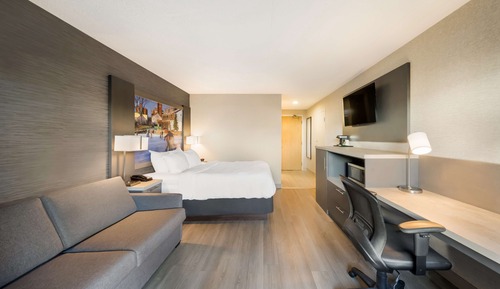 Standard Room, 1 Queen Bed with Sofa bed, Accessible (with Sofabed)