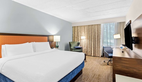 Room, 1 King Bed, Accessible, Non Smoking