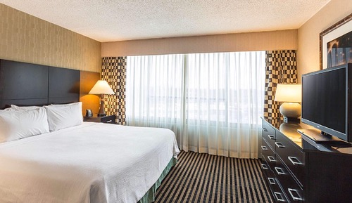 Suite, 1 King Bed with Sofa bed
