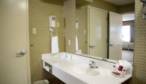 Deluxe Suite, 1 King Bed, Non Smoking (1 Bedroom)