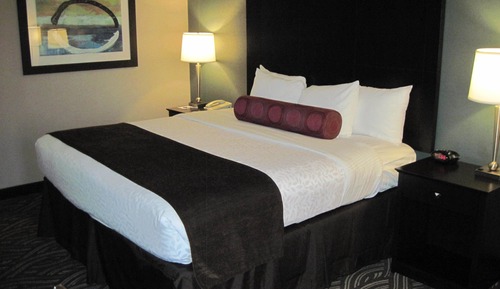 Standard Room, 1 King Bed, Accessible, Non Smoking