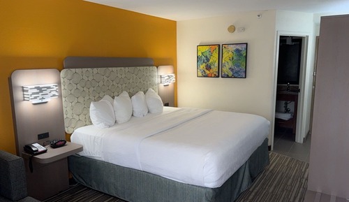 Room, 1 King Bed, Accessible, Non Smoking