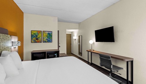 Room, 1 King Bed, Accessible, Non Smoking