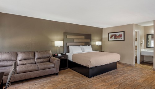 Suite, 1 King Bed with Sofa bed, Non Smoking (Efficiency)