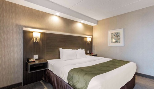 Standard Room, 1 King Bed, Non Smoking