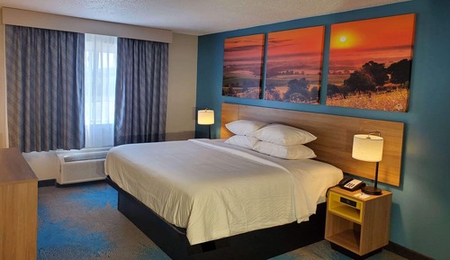 Room, 1 King Bed, Accessible, Non Smoking (free WiFi, service animals)